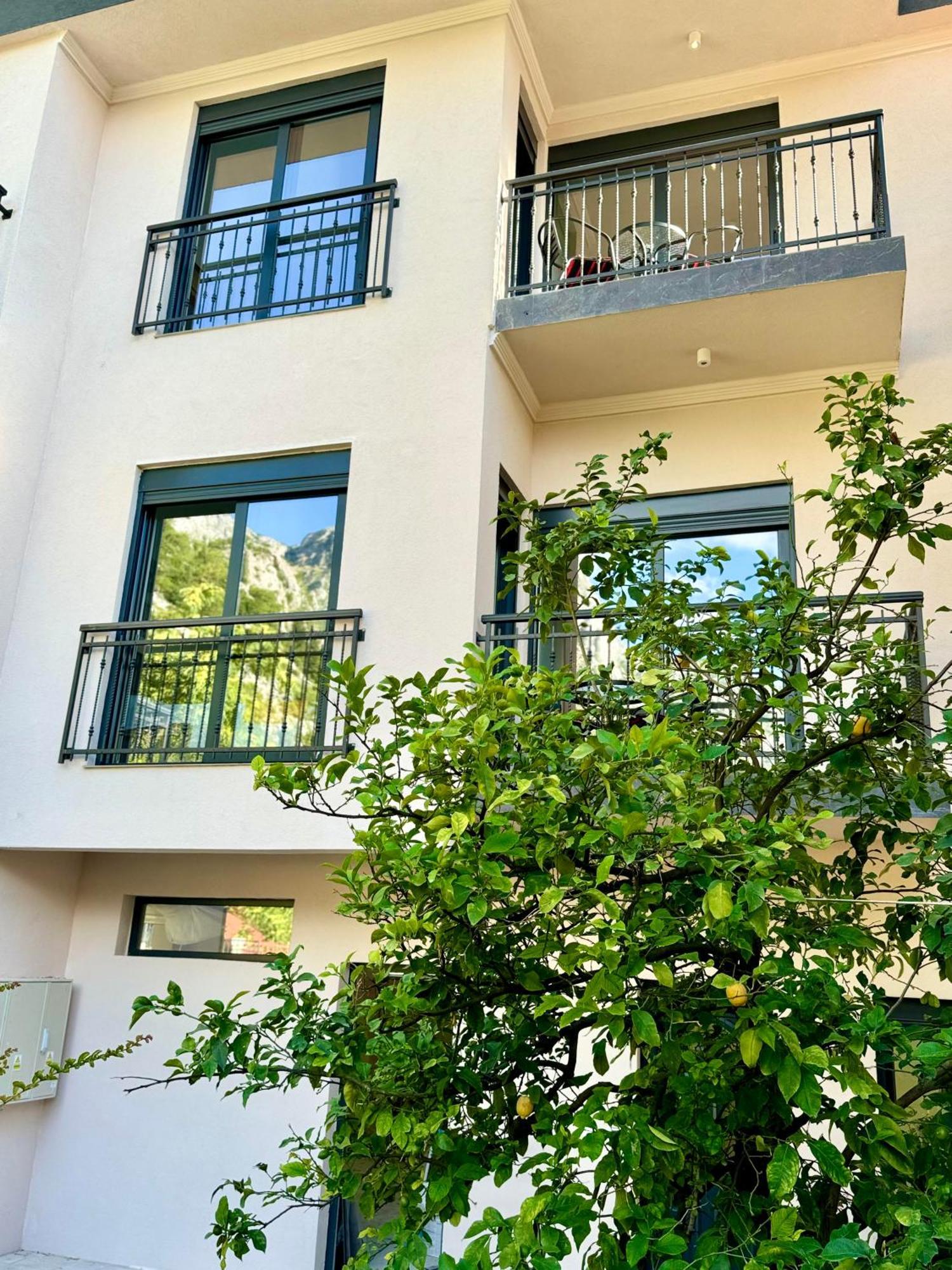 Harmony Garden Apartments Kotor Kültér fotó