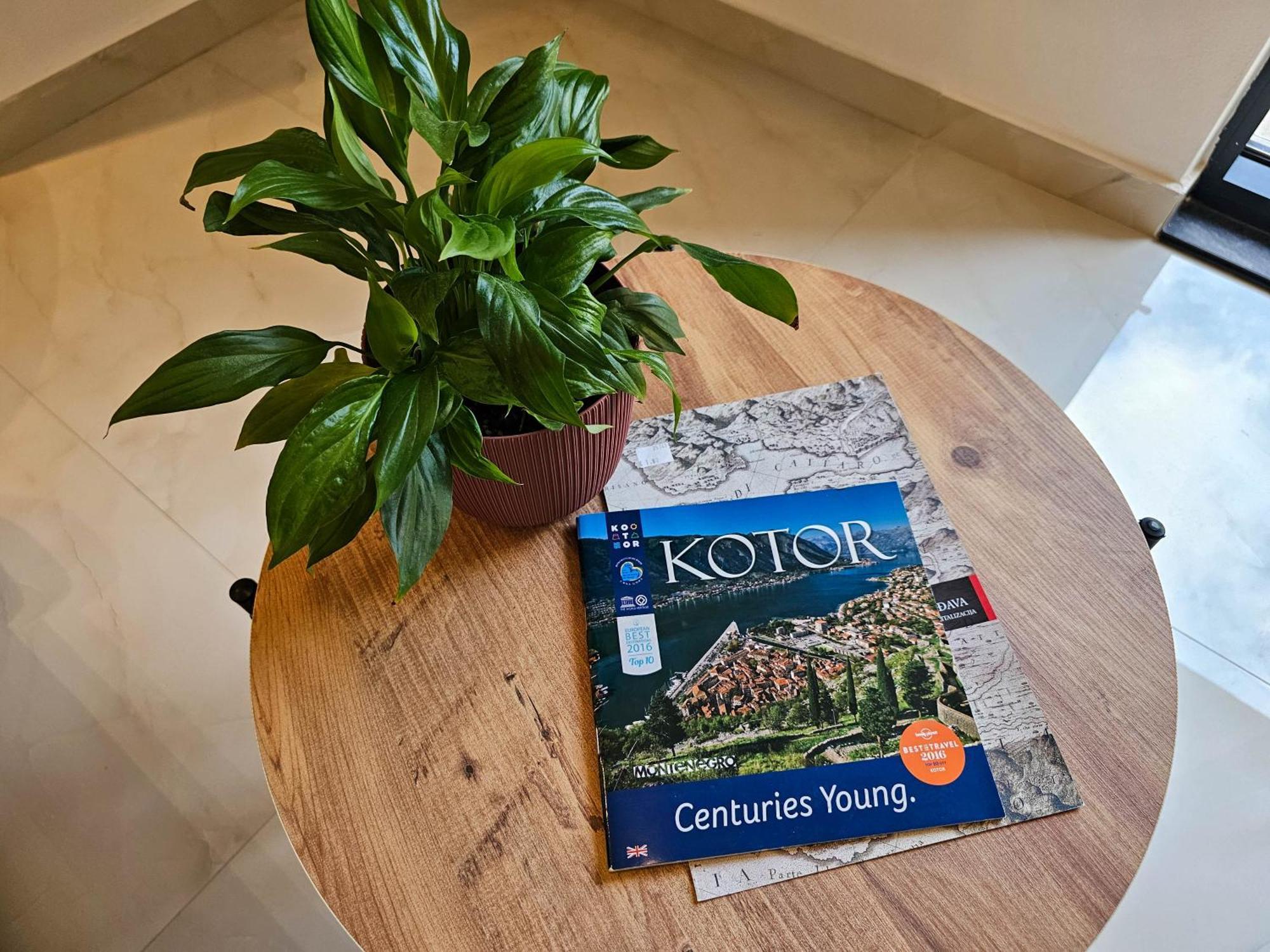 Harmony Garden Apartments Kotor Kültér fotó